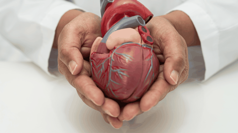 Rau tần ô cung cấp kali - khoáng chất quan trọng trong việc duy trì huyết áp ổn định và chức năng tim mạch