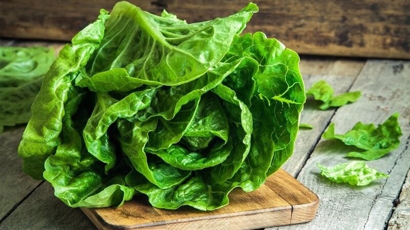 Rau xà lách bao nhiêu calo? Lợi ích của việc ăn rau xà lách 3