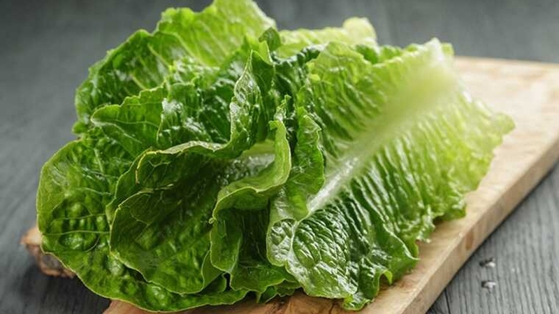 Rau xà lách bao nhiêu calo? Lợi ích của việc ăn rau xà lách 2