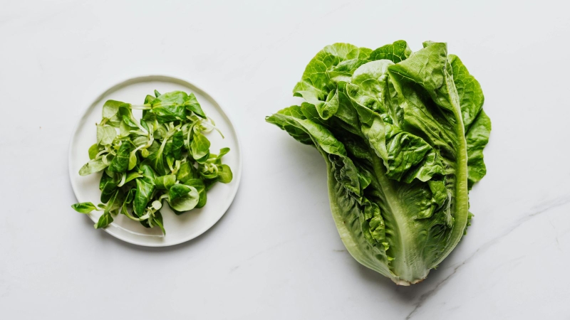 Rau xà lách giòn Đà Lạt là rau gì?