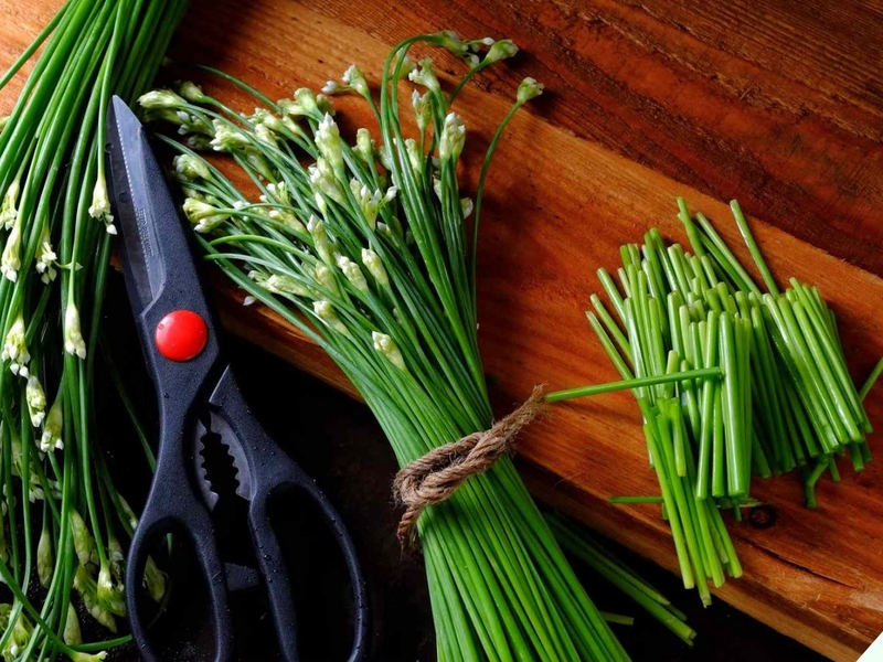 Lá hẹ - nguyên liệu tự nhiên giúp giảm nhanh cơn ho khó chịu 1