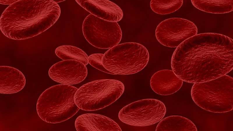 RBC có nhiệm vụ vận chuyển oxy từ phổi đến các mô và đưa CO2 về phổi