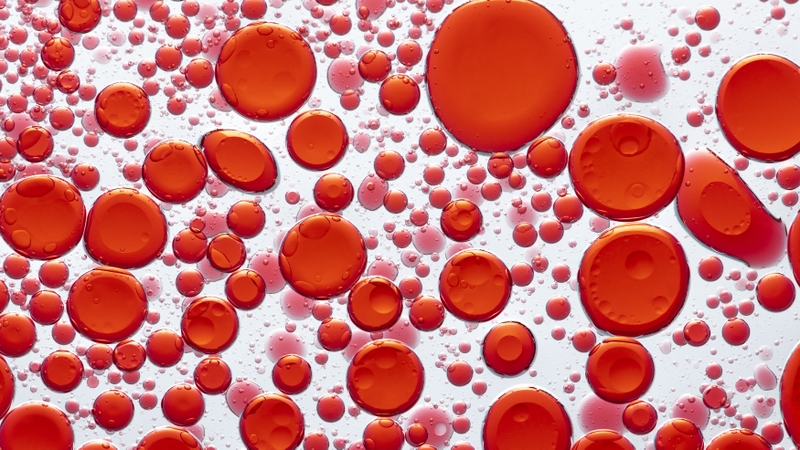 RBC thấp có sao không là câu hỏi thường gặp khi đọc kết quả xét nghiệm máu