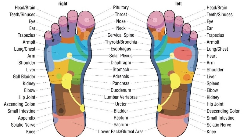 reflexology-la-gi-nhung-loi-ich-ma-reflexology-dem-lai 2