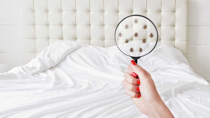 rep-giuong-song-bao-lau 2.jpg