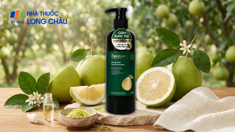 Review dầu gội Cocoon bưởi giúp bạn hiểu hơn về thành phần và công dụng sản phẩm