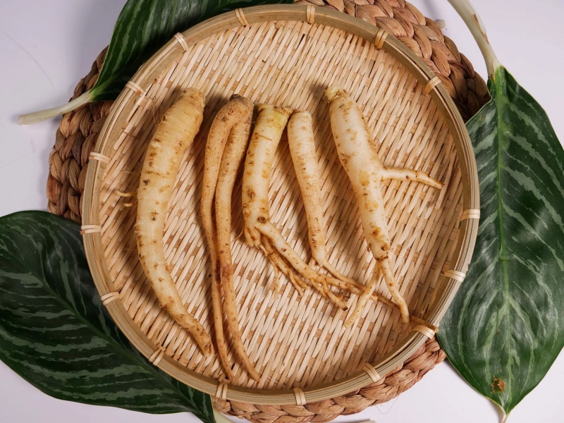 Review thuốc trị đái dầm Đức Thịnh chi tiết 2