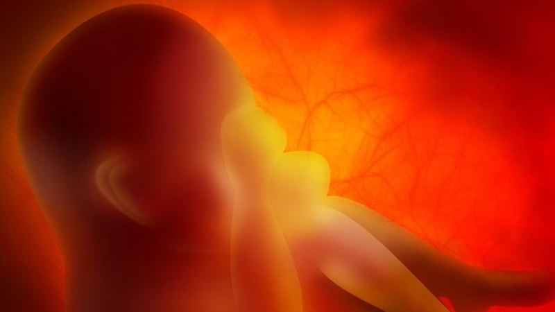 Rỉ ối tuần 39 của thai kì có phải dấu hiệu của chuyển dạ không? 1