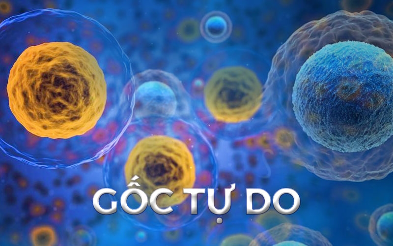 Góc dinh dưỡng: Ăn hạt sầu riêng luộc có tác dụng gì? 3