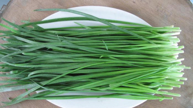 Rơ lưỡi cho trẻ sơ sinh bằng gì tốt? 6 mẹo hiệu quả nhất 2