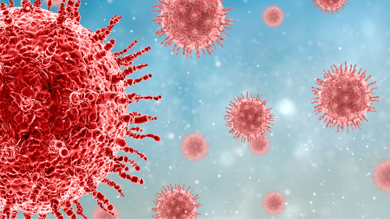 Rối loạn Adenoid là gì? Nguyên nhân và triệu chứng của rối loạn Adenoid 3