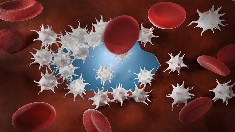 Rối loạn chảy máu do thành mạch và những điều bạn nên biết 1