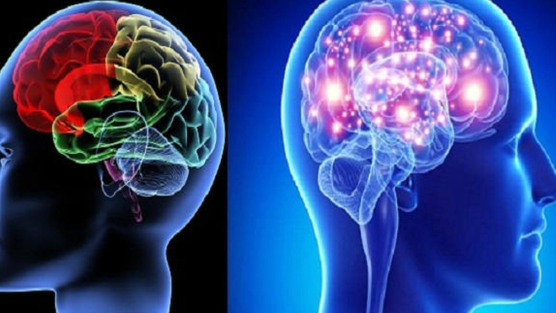 Rối loạn chức năng vỏ não - Nguyên nhân gây suy nhược thần kinh 1