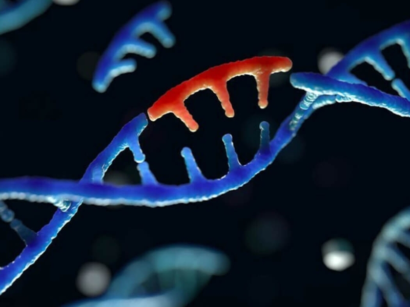 Rối loạn chuyển hóa di truyền: Nguyên nhân và biểu hiện 2