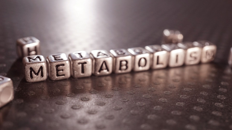 Rối loạn chuyển hóa gây béo phì có đúng hay không? Biện pháp điều trị rối loạn chuyển hóa 1