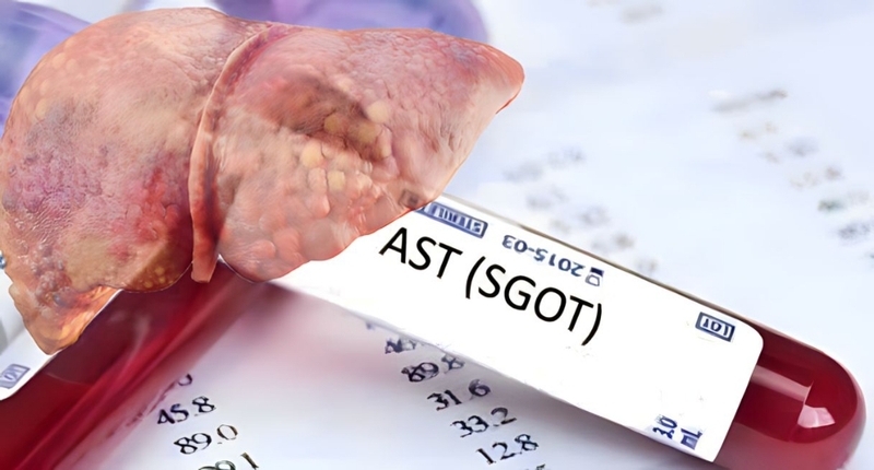 Rối loạn men gan có gây nguy hiểm không? Dấu hiệu cảnh báo tổn thương gan 2