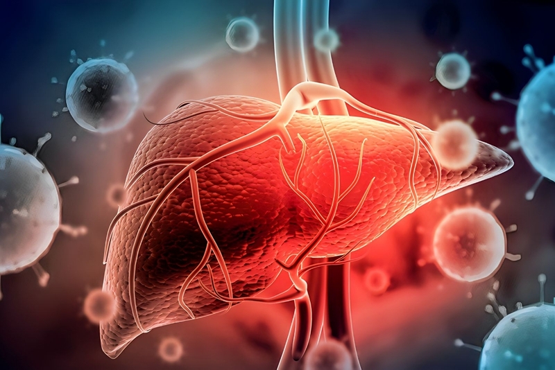Rối loạn men gan có gây nguy hiểm không? Dấu hiệu cảnh báo tổn thương gan 3