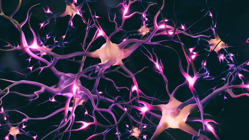 Rối loạn thần kinh thực vật có tự khỏi không​?