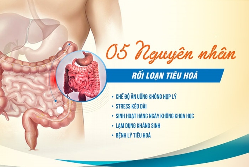 rối loạn tiêu hóa ở người lớn 1