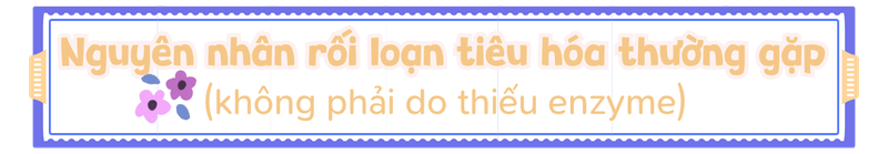 Nguyên nhân rối loạn tiêu hóa thường gặp (không phải do thiếu enzyme)