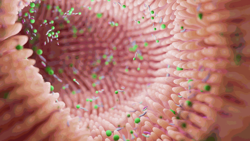 Rối loạn tiêu hóa ở trẻ là gì? Những thông tin cần biết 2