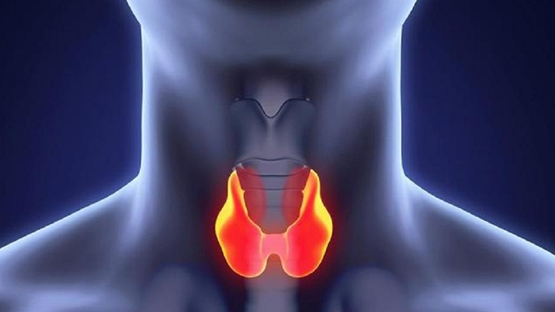 Rối loạn tuyến giáp khi mang thai có nguy hiểm không? 1