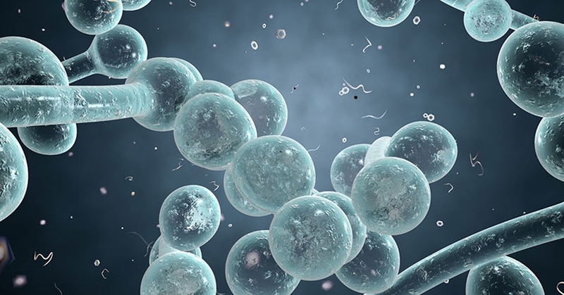 Bật mí: Nguyên nhân khiến rốn có mùi hôi mà ai cũng nên biết 2