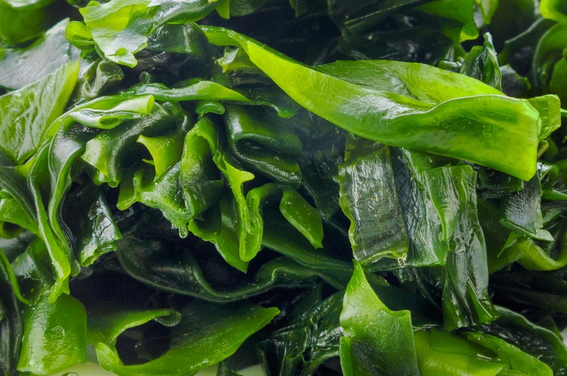 Rong biển và tảo biển có giống nhau? Tác dụng của rong biển và tảo biển? 1