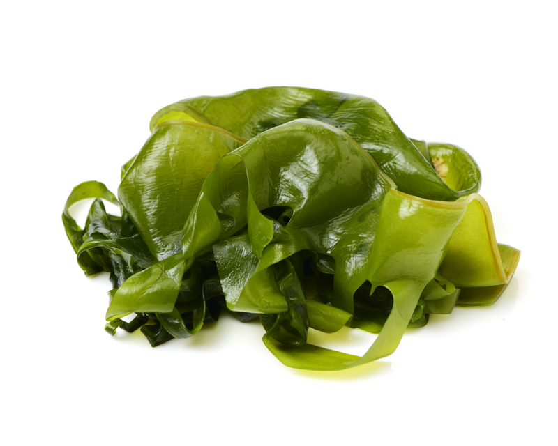 rong-bien-wakame-co-loi-ich-nhu-the-nao-doi-voi-suc-khoe 1.png