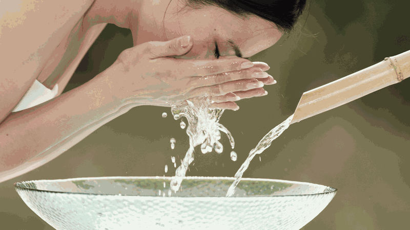 Rửa mặt bằng lá ổi có tốt không? Những tác dụng của lá ổi với làn da 4