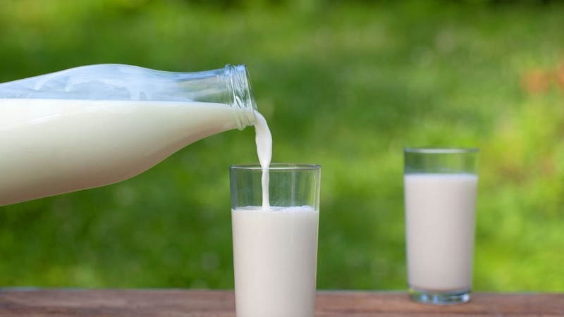 Rửa mặt bằng sữa tươi không đường đông đá có tốt không? 1