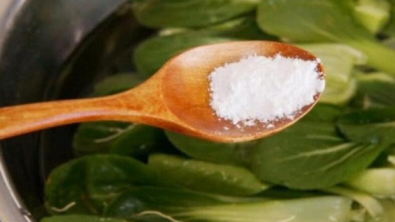 rua-rau-bang-nuoc-muoi-co-tac-dung-gi-mach-ban-cach-rua-rau-sach-va-an-toan 1.jpg