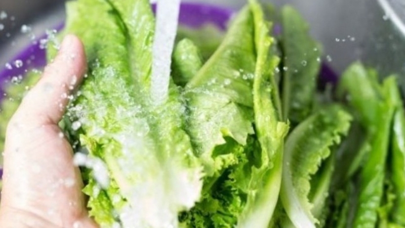rua-rau-bang-nuoc-muoi-co-tac-dung-gi-mach-ban-cach-rua-rau-sach-va-an-toan 2.jpg