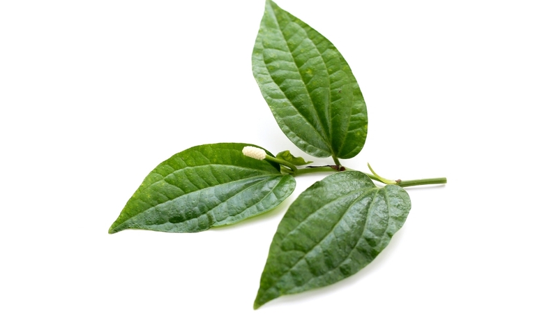 Nước lá trầu không hoặc chè xanh dùng rửa ngoài khi vùng tầng sinh môn không viêm