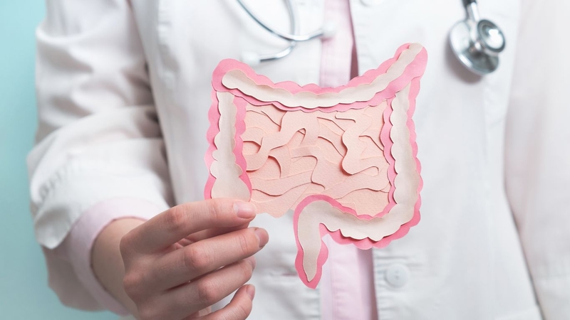 Ruột già là đoạn cuối cùng của hệ tiêu hóa, tiếp nối trực tiếp với ruột non và kết thúc tại hậu môn