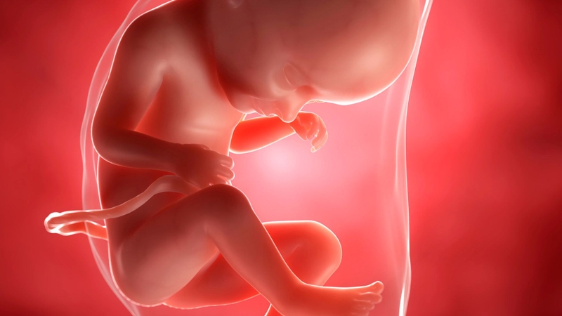 Ruột tăng âm ở thai nhi cần phải làm gì? 3