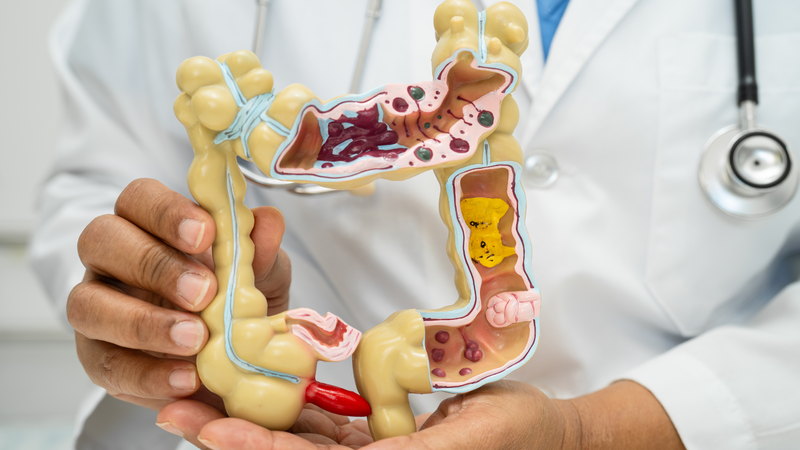 Hiểu rõ về ruột thừa giúp mỗi người chủ động nhận biết những dấu hiệu bất thường