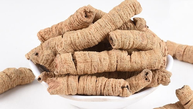 Tìm hiểu về thành phần hoạt chất có trong rễ cây ba kích