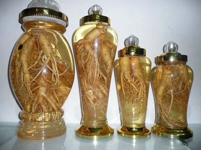 Rượu đinh lăng có tác dụng gì? Cách ngâm rượu đinh lăng 1