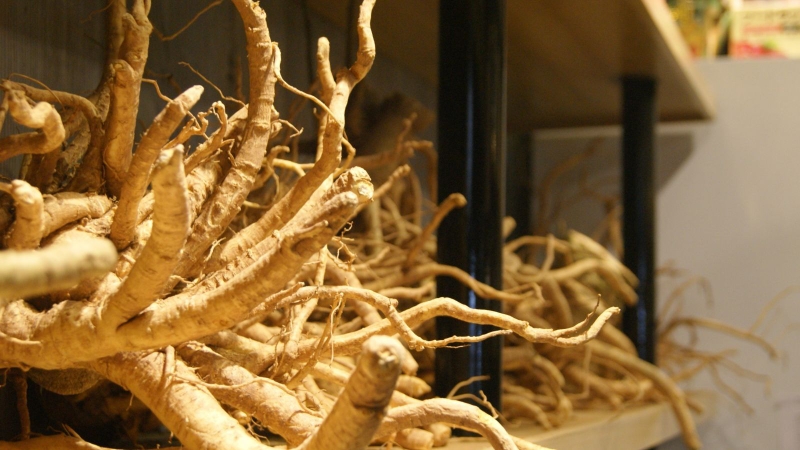 Rượu đinh lăng có tác dụng gì đối với sức khỏe 2