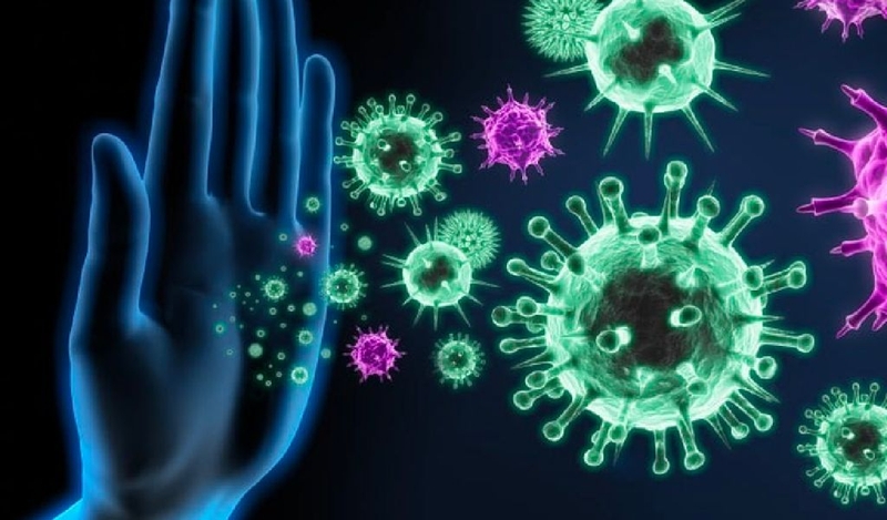 Rượu la hán quả có tác dụng gì? Cách làm và sử dụng 1