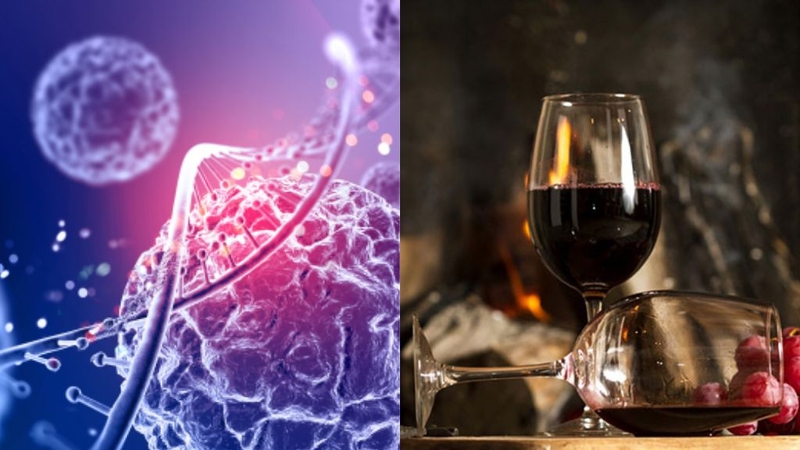 Rượu vang là gì? Uống rượu vang có tốt không? 1