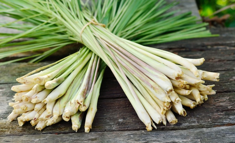 Củ sả nấu nước uống có tác dụng gì với sức khỏe 1