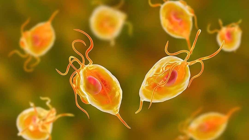 Sadetabs là thuốc gì? Công dụng và những lưu ý khi sử dụng thuốc Sadetabs&nbsp;2