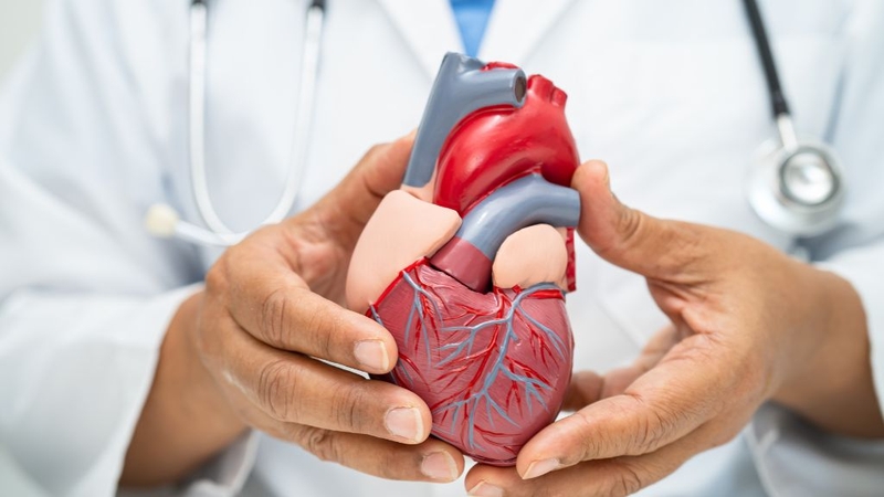 Sai lầm điều trị mỡ máu – Cảnh báo từ bác sĩ chuyên khoa 3