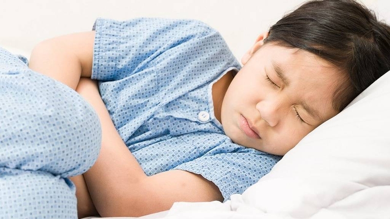 Salmonella trong thực phẩm nguy hiểm như thế nào? Nên xử trí ra sao?  3