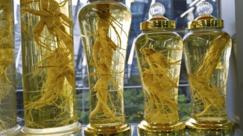 Cách sử dụng sâm ngâm rượu