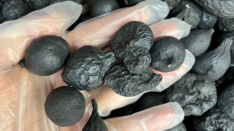 Sâm Ô Linh: Công dụng và cách dùng hiệu quả 1