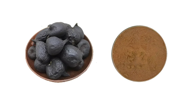 Sâm Ô Linh: Công dụng và cách dùng hiệu quả 2