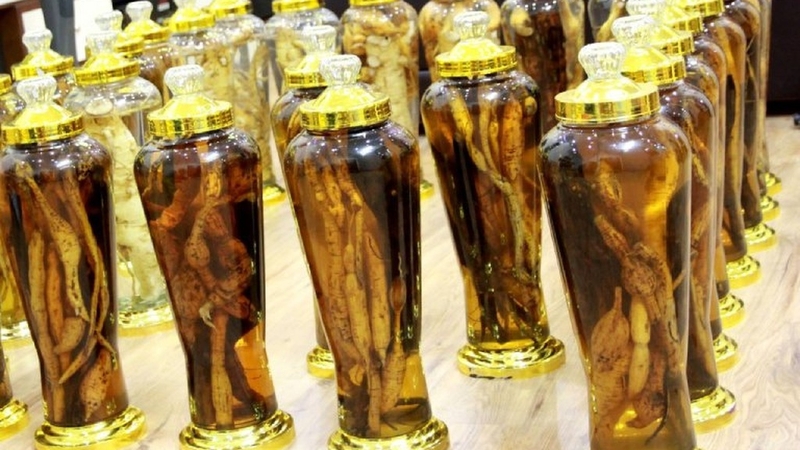 Sâm xuyên đá là gì? Công dụng và cách dùng hiệu quả 3